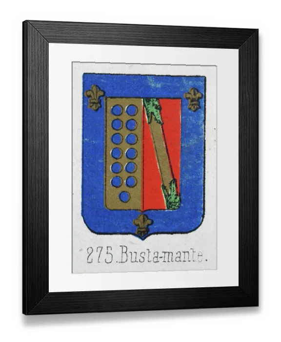 Framed Print : Medieval heraldry, Coat of arms, Shield with, gold, fleur de lis, blue, Spanish, Vintage illustration Framed Print : Medieval heraldry, Coat of arms, Shield with, gold, fleur de lis, blue, Spanish, Vintage illustration