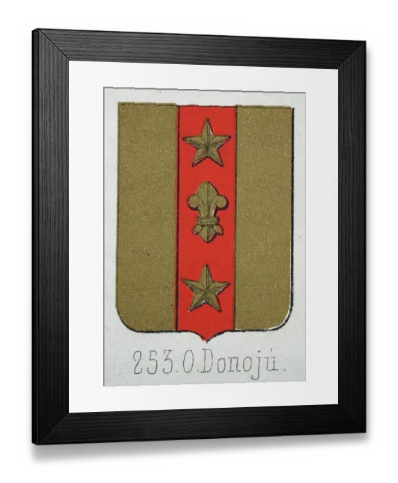 Framed Print : Medieval heraldry, Coat of arms, Shield with, Gold, Star, fleur de lis, Spanish, Vintage illustration Framed Print : Medieval heraldry, Coat of arms, Shield with, Gold, Star, fleur de lis, Spanish, Vintage illustration