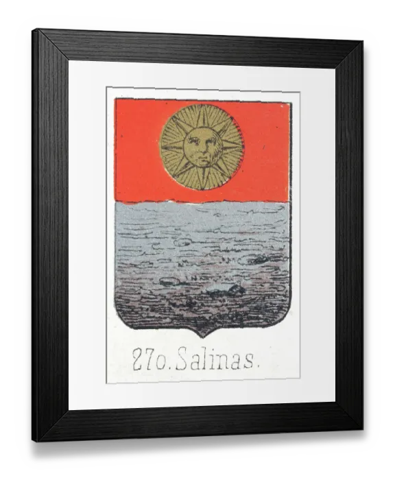 Framed Print : Medieval heraldry, Coat of arms, Shield with, Gold, Sun, Face, Red, Sky, Silver, Sea, Spanish, Vintage illustration