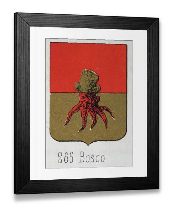 Framed Print : Medieval heraldry, Coat of arms, Shield with, Gold, Tree, Stump, Red, Roots, Spanish, Vintage illustration Framed Print : Medieval heraldry, Coat of arms, Shield with, Gold, Tree, Stump, Red, Roots, Spanish, Vintage illustration