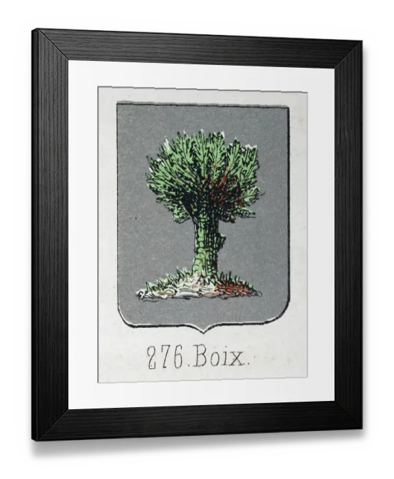 Framed Print : Medieval heraldry, Coat of arms, Shield with, Green, tree, Silver, Spanish, Vintage illustration Framed Print : Medieval heraldry, Coat of arms, Shield with, Green, tree, Silver, Spanish, Vintage illustration