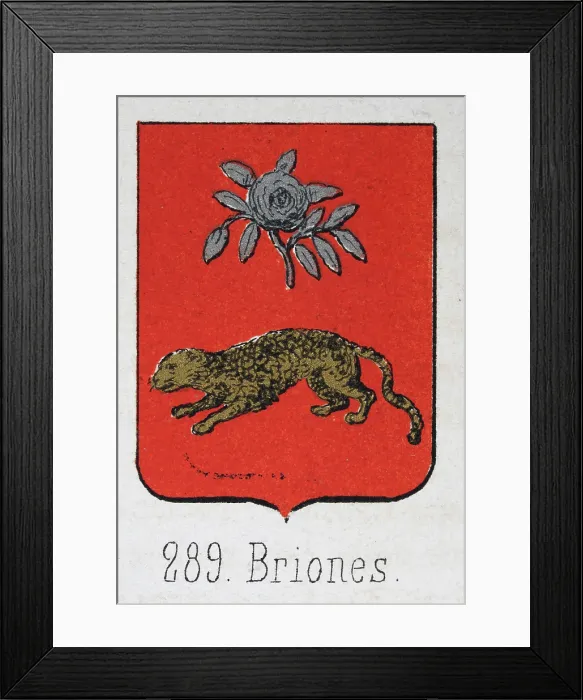 Framed Print : Medieval heraldry, Coat of arms, Shield with, Silver, rose, gold, leopard, red, Spanish, Vintage illustration Framed Print : Medieval heraldry, Coat of arms, Shield with, Silver, rose, gold, leopard, red, Spanish, Vintage illustration