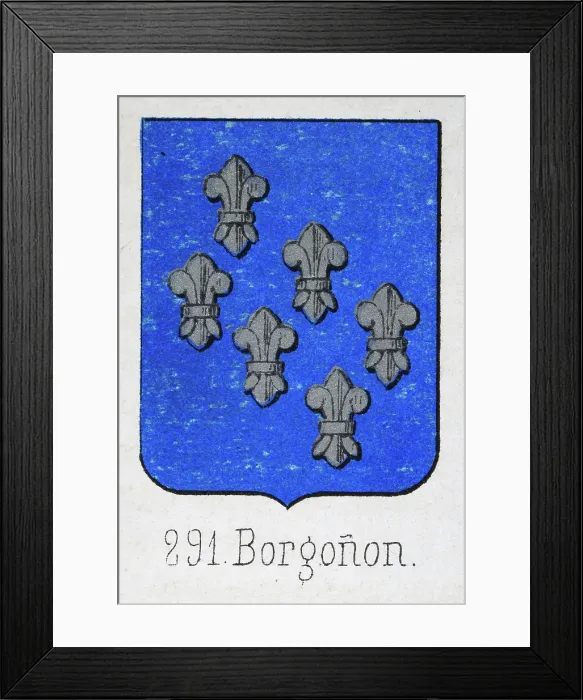 Framed Print : Medieval heraldry, Coat of arms, Shield with, Six, silver, fleur de lis, blue, Spanish, Vintage illustration Framed Print : Medieval heraldry, Coat of arms, Shield with, Six, silver, fleur de lis, blue, Spanish, Vintage illustration