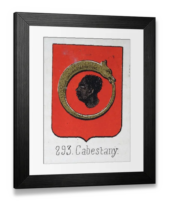 Framed Print : Medieval heraldry, Coat of arms, Shield with, Snake, biting, Tail, Moors, Head, Spanish, Vintage illustration Framed Print : Medieval heraldry, Coat of arms, Shield with, Snake, biting, Tail, Moors, Head, Spanish, Vintage illustration