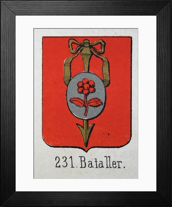 Framed Print : Medieval heraldry, Coat of arms, Shield with, Gold, Arrow, Silver, Medallion, Flower, Red, Spanish, Vintage illustration Framed Print : Medieval heraldry, Coat of arms, Shield with, Gold, Arrow, Silver, Medallion, Flower, Red, Spanish, Vintage illustration
