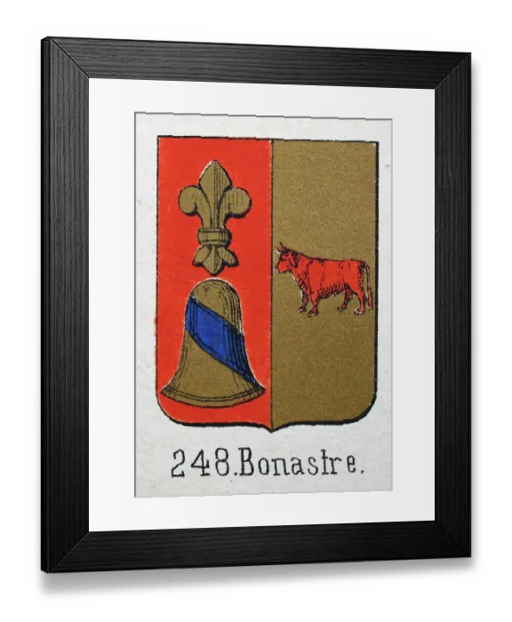 Framed Print : Medieval heraldry, Coat of arms, Shield with, Gold, fleur de lis, Bell, Red, Bull, Spanish, Vintage illustration Framed Print : Medieval heraldry, Coat of arms, Shield with, Gold, fleur de lis, Bell, Red, Bull, Spanish, Vintage illustration
