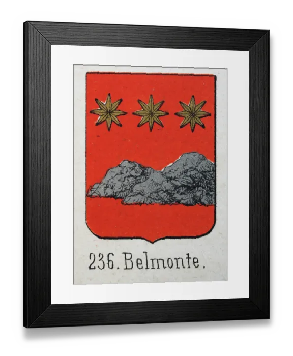 Framed Print : Medieval heraldry, Coat of arms, Shield with, Gold, Star, Silver, Rocks, Red, Spanish, Vintage illustration Framed Print : Medieval heraldry, Coat of arms, Shield with, Gold, Star, Silver, Rocks, Red, Spanish, Vintage illustration