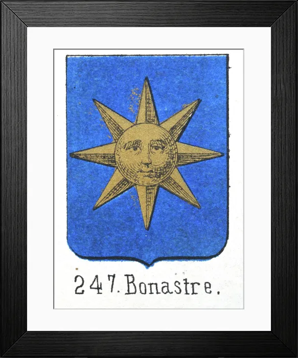 Framed Print : Medieval heraldry, Coat of arms, Shield with, Gold, Sun, Face, Blue, Spanish, Vintage illustration Framed Print : Medieval heraldry, Coat of arms, Shield with, Gold, Sun, Face, Blue, Spanish, Vintage illustration