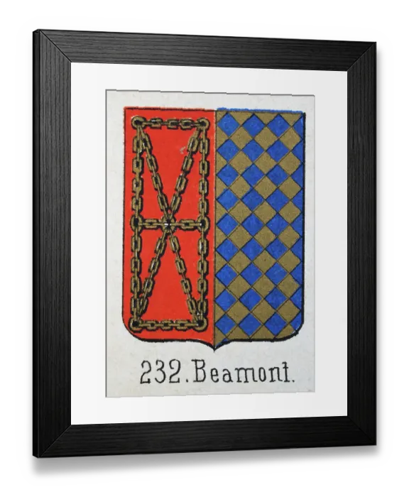 Framed Print : Medieval heraldry, Coat of arms, Shield with, Halved, Gold, Chain, Red, Checked, Blue, Gold, Spanish, Vintage illustration Framed Print : Medieval heraldry, Coat of arms, Shield with, Halved, Gold, Chain, Red, Checked, Blue, Gold, Spanish, Vintage illustration