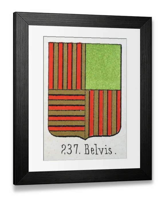 Framed Print : Medieval heraldry, Coat of arms, Shield with, Quartered, Striped, Red, Gold, Green, Spanish, Vintage illustration Framed Print : Medieval heraldry, Coat of arms, Shield with, Quartered, Striped, Red, Gold, Green, Spanish, Vintage illustration
