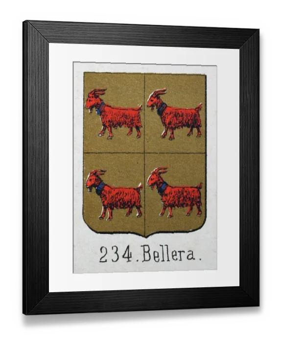 Framed Print : Medieval heraldry, Coat of arms, Shield with, Red, Goat, Gold, Quartered, Spanish, Vintage illustration Framed Print : Medieval heraldry, Coat of arms, Shield with, Red, Goat, Gold, Quartered, Spanish, Vintage illustration
