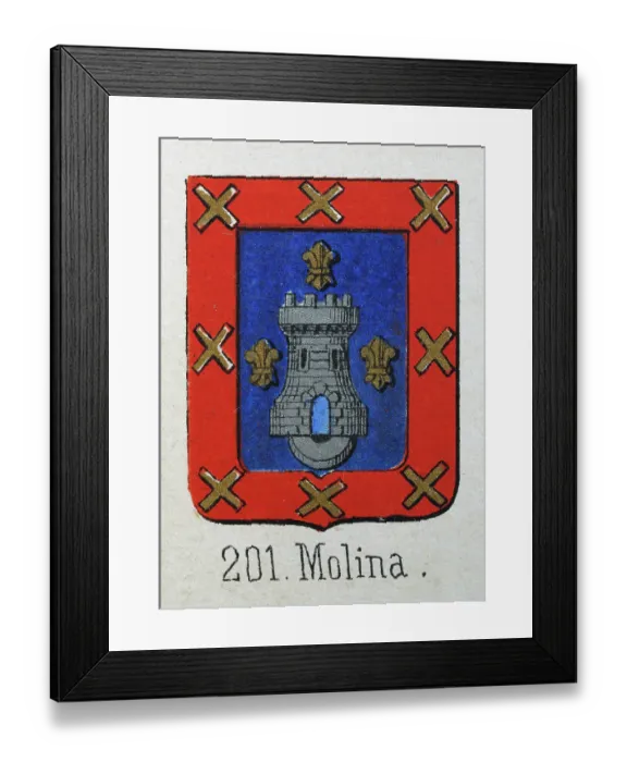 Framed Print : Medieval heraldry, Coat of arms, Shield with, Silver, Castle, Gold, fleur de lis, Blue, Red, Spanish, Vintage illustration Framed Print : Medieval heraldry, Coat of arms, Shield with, Silver, Castle, Gold, fleur de lis, Blue, Red, Spanish, Vintage illustration