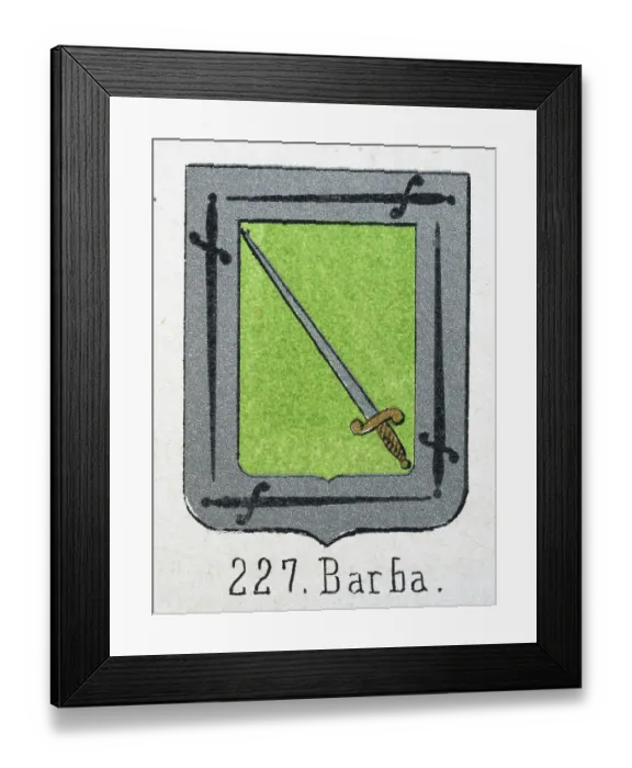Framed Print : Medieval heraldry, Coat of arms, Shield with, Swords, Green, Silver, Border, Spanish, Vintage illustration Framed Print : Medieval heraldry, Coat of arms, Shield with, Swords, Green, Silver, Border, Spanish, Vintage illustration