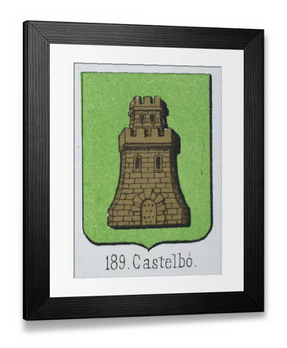 Framed Print : Medieval heraldry, Coat of arms, Shield with Gold, Castle, Green, Spanish, Vintage illustration Framed Print : Medieval heraldry, Coat of arms, Shield with Gold, Castle, Green, Spanish, Vintage illustration