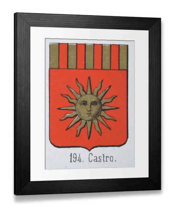 Framed Print : Medieval heraldry, Coat of arms, Shield with Gold, Sun, Red, Stripes, Spanish, Vintage illustration Framed Print : Medieval heraldry, Coat of arms, Shield with Gold, Sun, Red, Stripes, Spanish, Vintage illustration