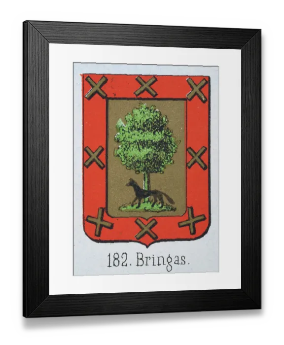 Framed Print : Medieval heraldry, Coat of arms, Shield with Green, Oak, Black, wolf, red, border, gold, cross, Spanish, Vintage illustration Framed Print : Medieval heraldry, Coat of arms, Shield with Green, Oak, Black, wolf, red, border, gold, cross, Spanish, Vintage illustration