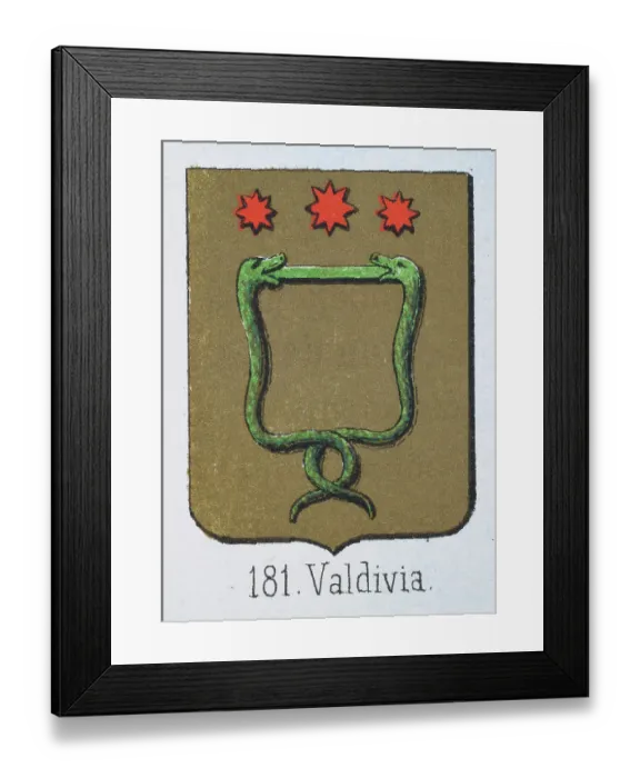 Framed Print : Medieval heraldry, Coat of arms, Shield with Green, Snakes, Red, Stars, Gold, Spanish, Vintage illustration Framed Print : Medieval heraldry, Coat of arms, Shield with Green, Snakes, Red, Stars, Gold, Spanish, Vintage illustration