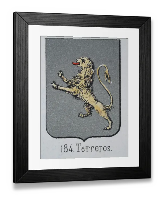 Framed Print : Medieval heraldry, Coat of arms, Shield with Lion, Rampant, Silver, Spanish, Vintage illustration Framed Print : Medieval heraldry, Coat of arms, Shield with Lion, Rampant, Silver, Spanish, Vintage illustration