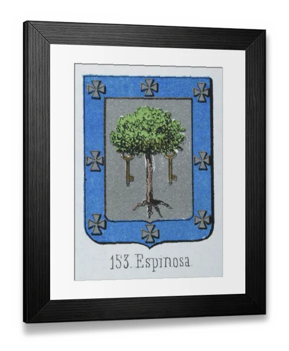 Framed Print : Medieval heraldry, Coat of arms, Shield with Oak, Tree, God, Key, Spanish, Vintage illustration Framed Print : Medieval heraldry, Coat of arms, Shield with Oak, Tree, God, Key, Spanish, Vintage illustration