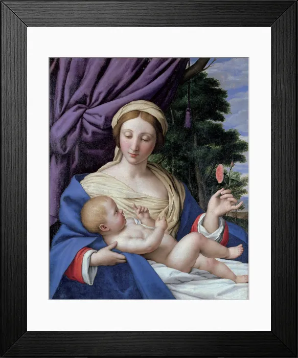 Framed Print : The Virgin of the rose (Madonna della rosa) Framed Print : The Virgin of the rose (Madonna della rosa)