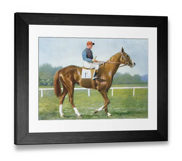 Framed Print : Waterbird, Jockey: E. Smith, 1939. From Racehorses and Jockeys, 1938 - A Series of 40 Framed Print : Waterbird, Jockey: E. Smith, 1939. From Racehorses and Jockeys, 1938 - A Series of 40