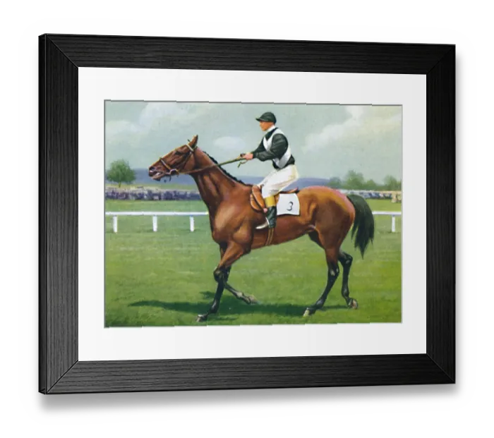 Framed Print : Shalfleet, Jockey: R. Perryman, 1939. Winners of the July Cup Framed Print : Shalfleet, Jockey: R. Perryman, 1939. Winners of the July Cup