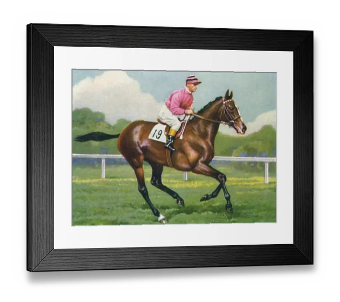 Framed Print : Pasch, Jockey: G. Richards, 1939. From Racehorses and Jockeys, 1938 - A Series of 40 Framed Print : Pasch, Jockey: G. Richards, 1939. From Racehorses and Jockeys, 1938 - A Series of 40