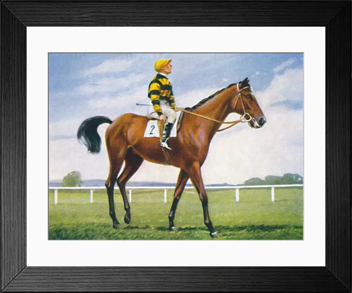 Framed Print : Meadow, Jockey: T. Weston, 1939. In 1933 Tommy Weston on Hyperion recorded Framed Print : Meadow, Jockey: T. Weston, 1939. In 1933 Tommy Weston on Hyperion recorded