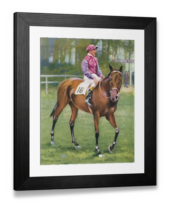 Framed Print : Zoltan, Jockey: M. Beary, 1939. In the spring of 1938 Zoltan ridden by Framed Print : Zoltan, Jockey: M. Beary, 1939. In the spring of 1938 Zoltan ridden by