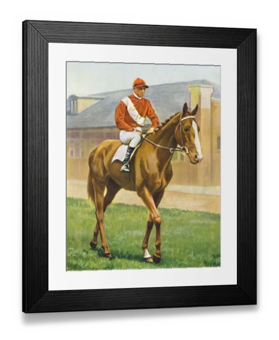 Framed Print : Snake Lightning. Jockey: T. Hawcroft Framed Print : Snake Lightning. Jockey: T. Hawcroft