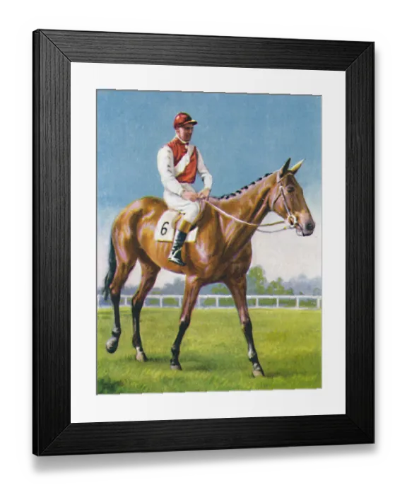 Framed Print : Royal Danieli Framed Print : Royal Danieli