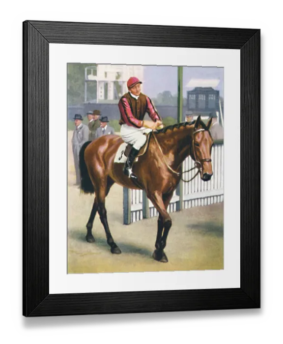 Framed Print : Monument, Jockey: P. Beasley, 1939. Winner of the 1938 Jubilee race Framed Print : Monument, Jockey: P. Beasley, 1939. Winner of the 1938 Jubilee race