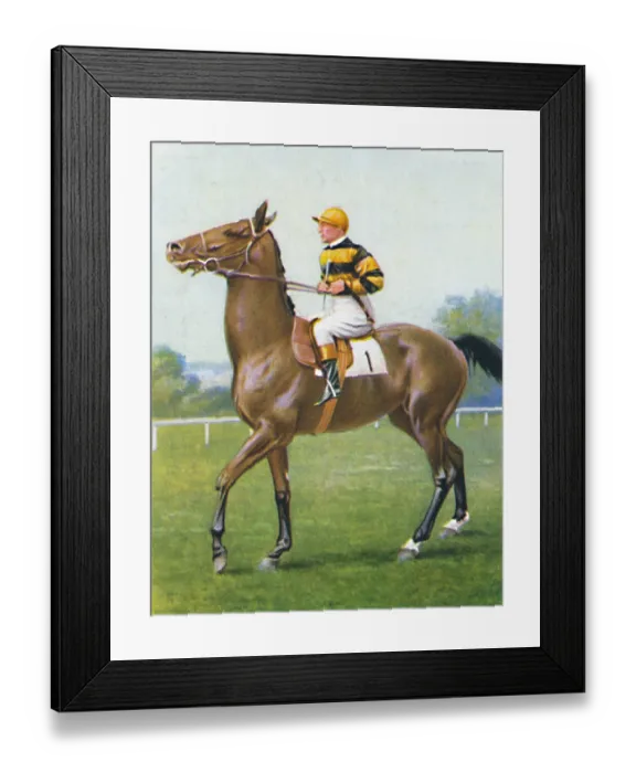 Framed Print : Golden Sovereign Framed Print : Golden Sovereign