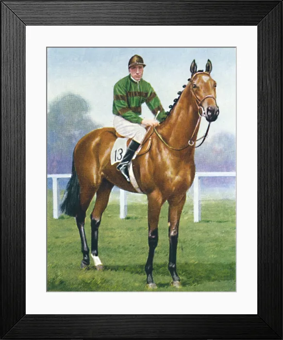 Framed Print : Mirza Ii. Mirza II, Jockey: H. Wragg, 1939 Framed Print : Mirza Ii. Mirza II, Jockey: H. Wragg, 1939