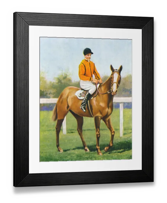 Framed Print : Free Fare, Jockey: B. Hobbs, 1939. Winner of the General Peace Open Hurdle Framed Print : Free Fare, Jockey: B. Hobbs, 1939. Winner of the General Peace Open Hurdle