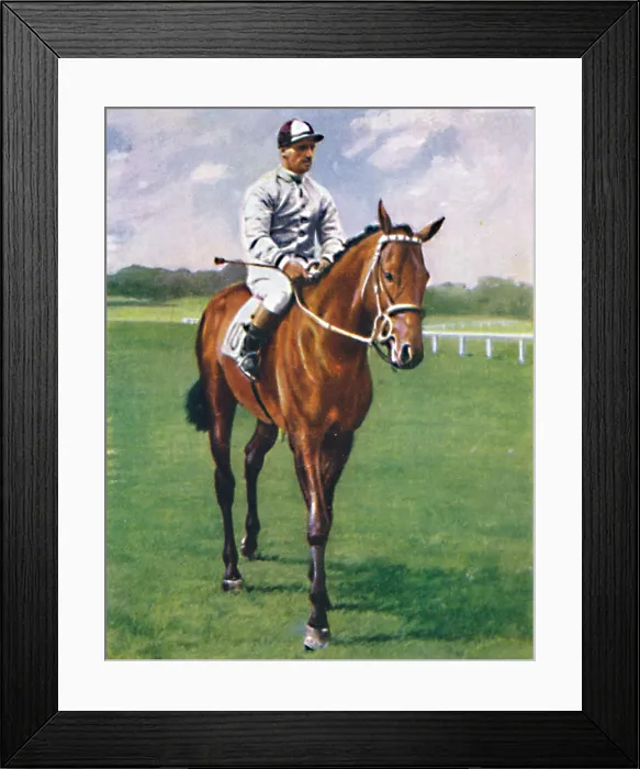 Framed Print : Foxglove Ii. Jockey: G. Richards Framed Print : Foxglove Ii. Jockey: G. Richards