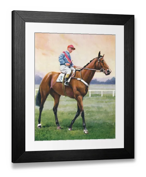 Framed Print : Bookseller Framed Print : Bookseller