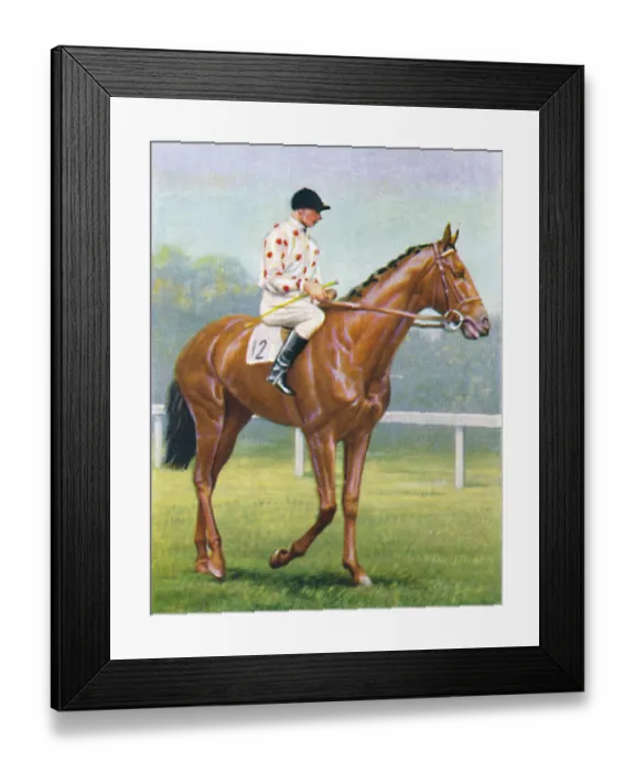 Framed Print : Flares, Jockey: R.A. Jones, 1939. Winner of the Ascot Gold Cup in 1938 Framed Print : Flares, Jockey: R.A. Jones, 1939. Winner of the Ascot Gold Cup in 1938