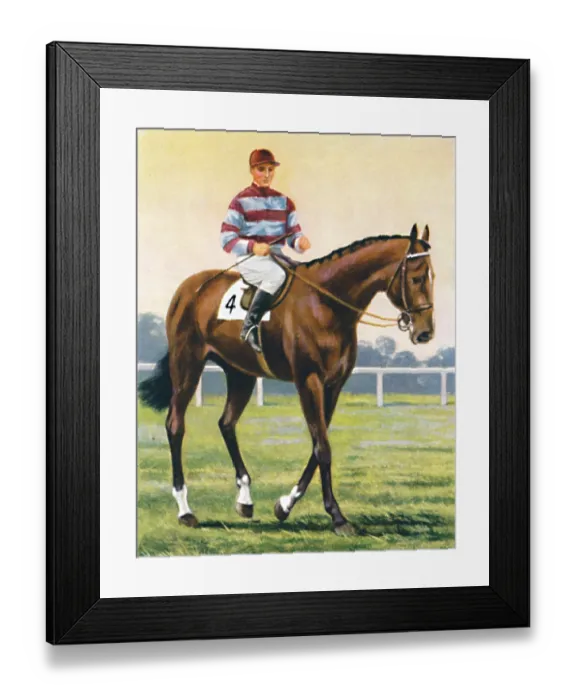 Framed Print : Couvert, Jockey: C. Richards, 1939. Winner of the Royal Hunt Cup