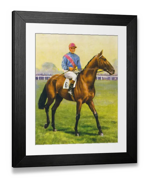 Framed Print : Cave Man, Jockey: C. Richards, 1939. Winner of the Chester Vase Framed Print : Cave Man, Jockey: C. Richards, 1939. Winner of the Chester Vase
