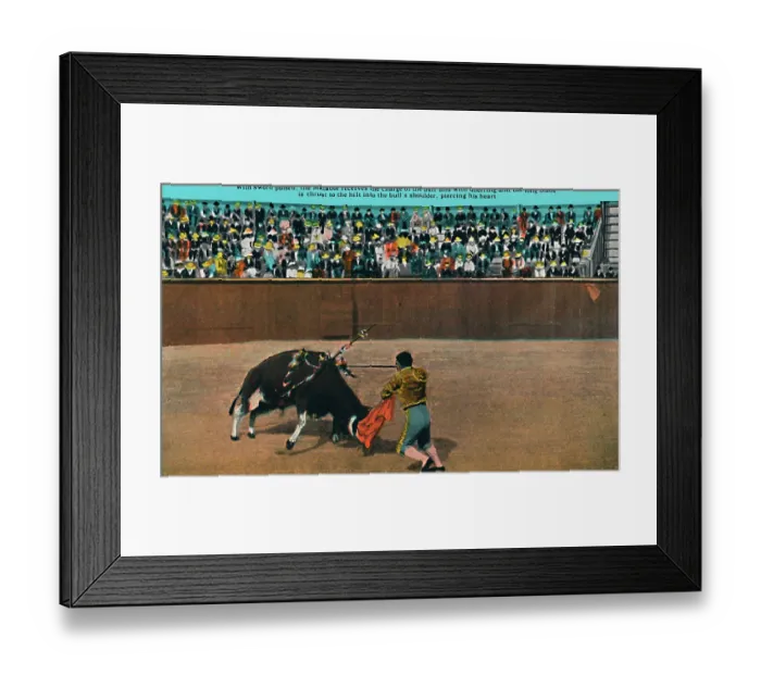 Framed Print : The Challenge Of The Matador