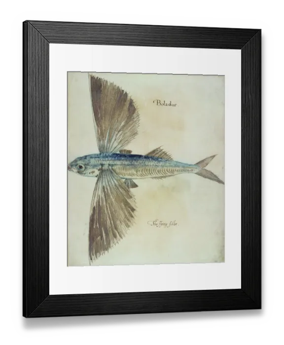 Framed Print : British Museum, London, UK Framed Print : British Museum, London, UK