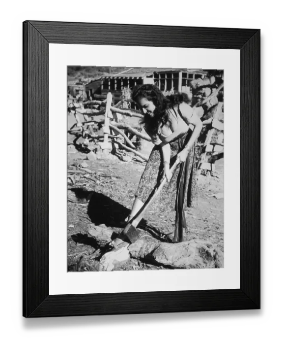 Framed Print : Woodcutter Russell Framed Print : Woodcutter Russell