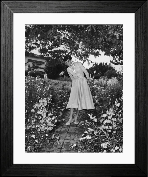 Framed Print : Audrey Hepburn Framed Print : Audrey Hepburn