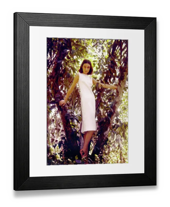 Framed Print : Audrey Hepburn On Tree