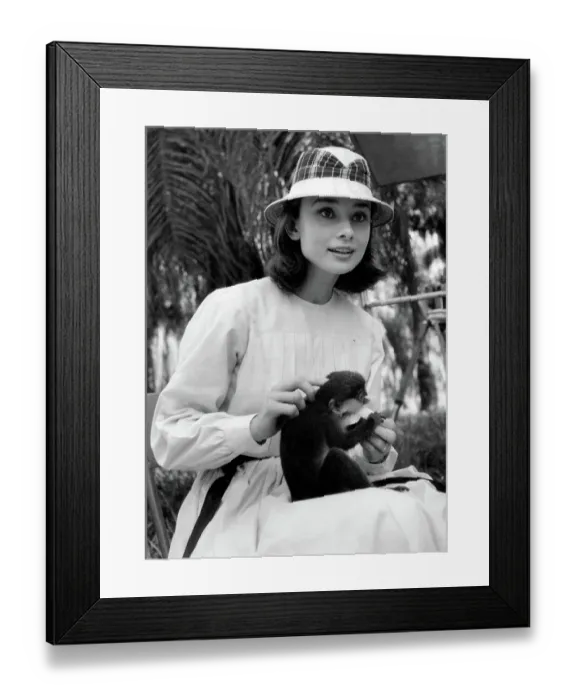 Framed Print : Audrey Hepburn Feeds Monkey Framed Print : Audrey Hepburn Feeds Monkey
