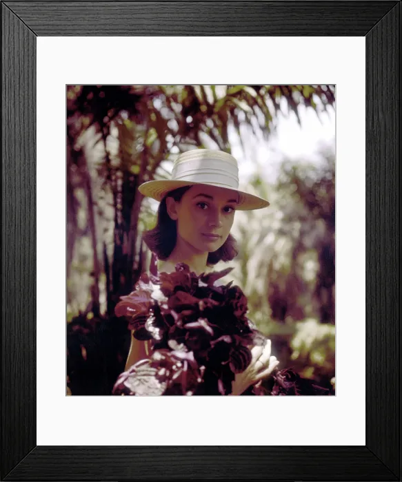 Framed Print : Audrey Hepburn With Flowers Framed Print : Audrey Hepburn With Flowers