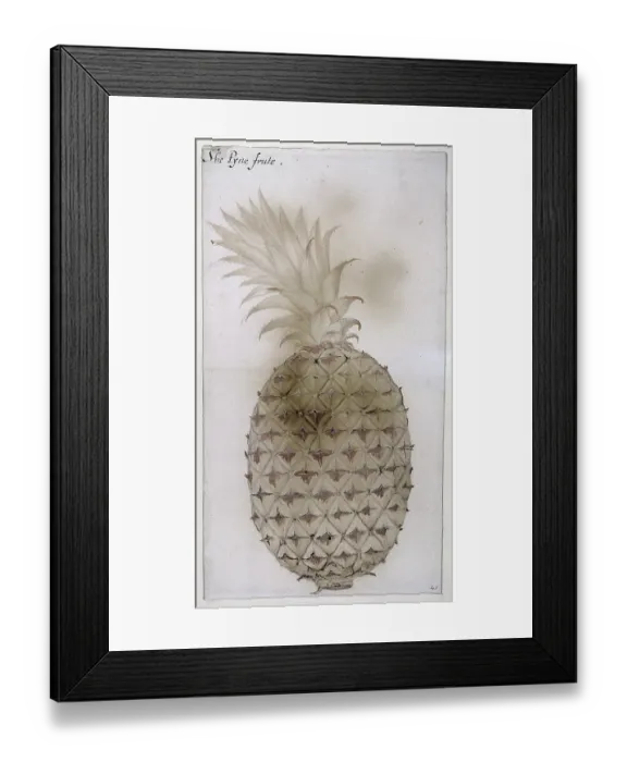 Framed Print : British Museum, London, UK Framed Print : British Museum, London, UK
