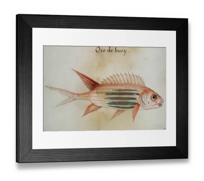 Framed Print : British Museum, London, UK Framed Print : British Museum, London, UK