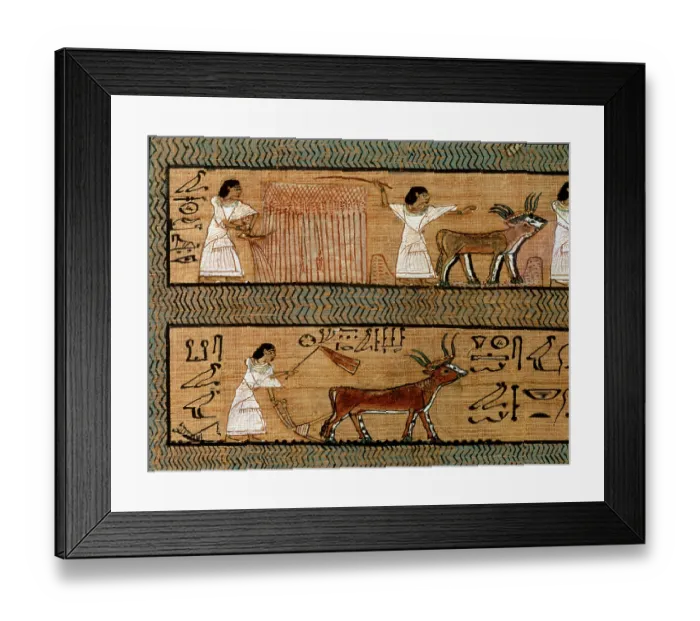 Framed Print : British Museum, London, UK Framed Print : British Museum, London, UK